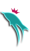 image ofillustrative dolphin graphic