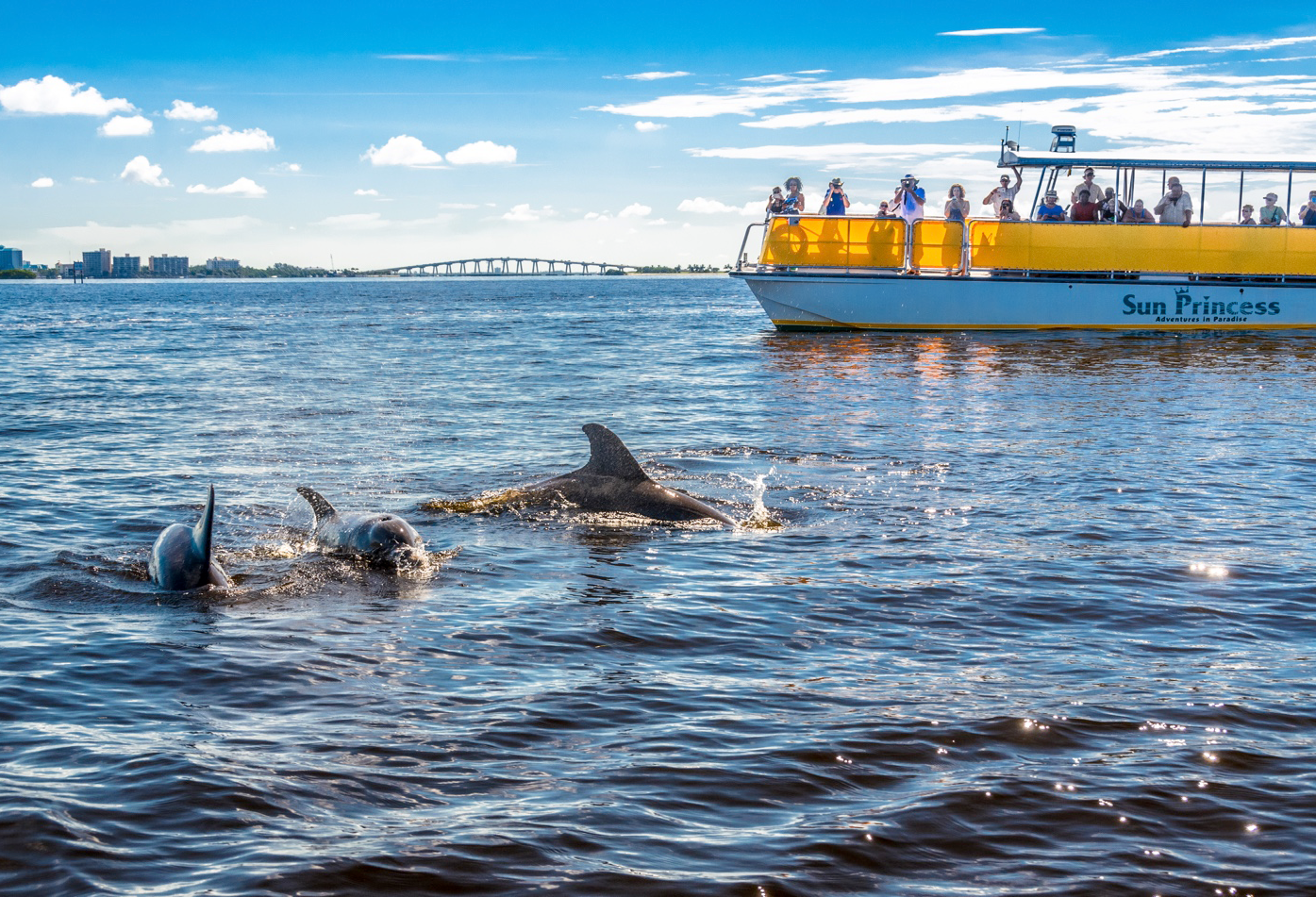 image of excursion boat