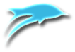 dolphin graphic image